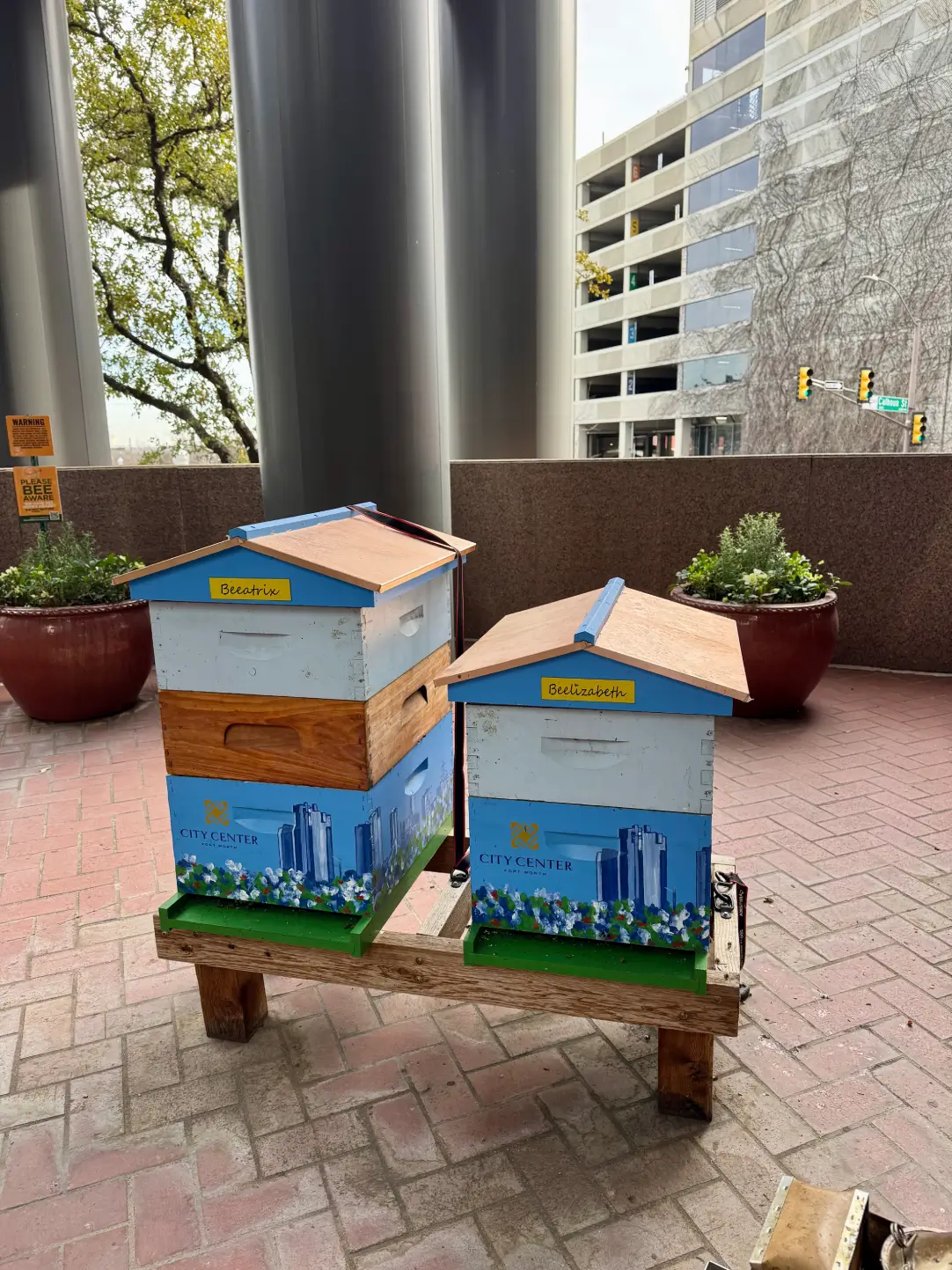 two city center bee hives